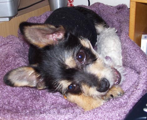 Im so cute I make myself sick