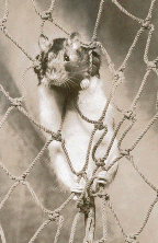 get me off this thing!!